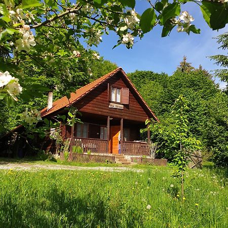 Casa Lacramioara Villa Sîmbăta de Sus Eksteriør bilde