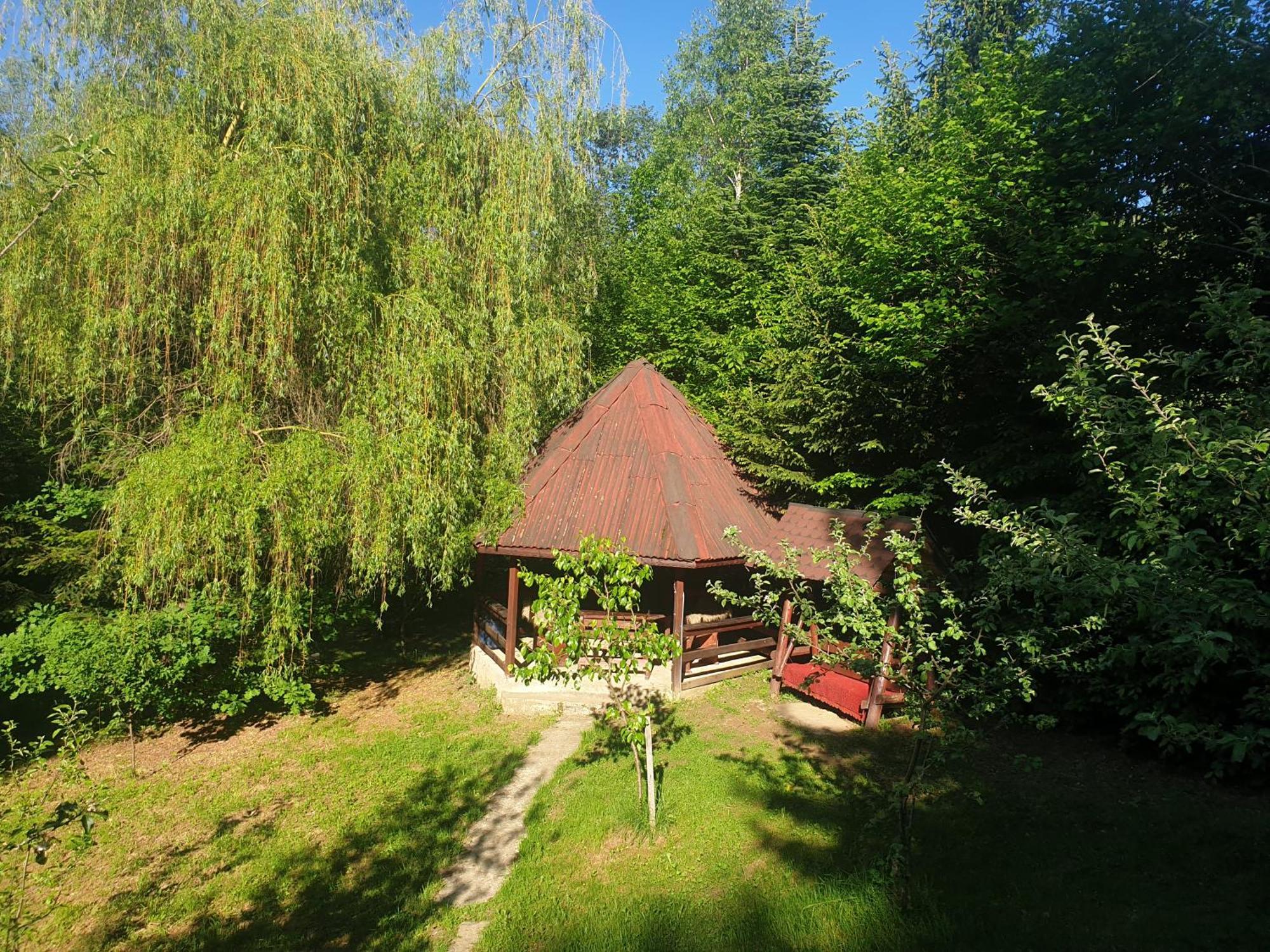 Casa Lacramioara Sîmbăta de Sus Eksteriør bilde