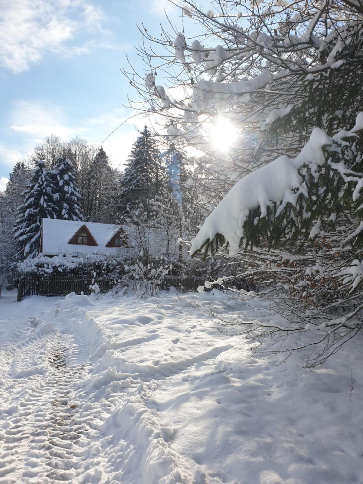 Casa Lacramioara Villa Sîmbăta de Sus Eksteriør bilde