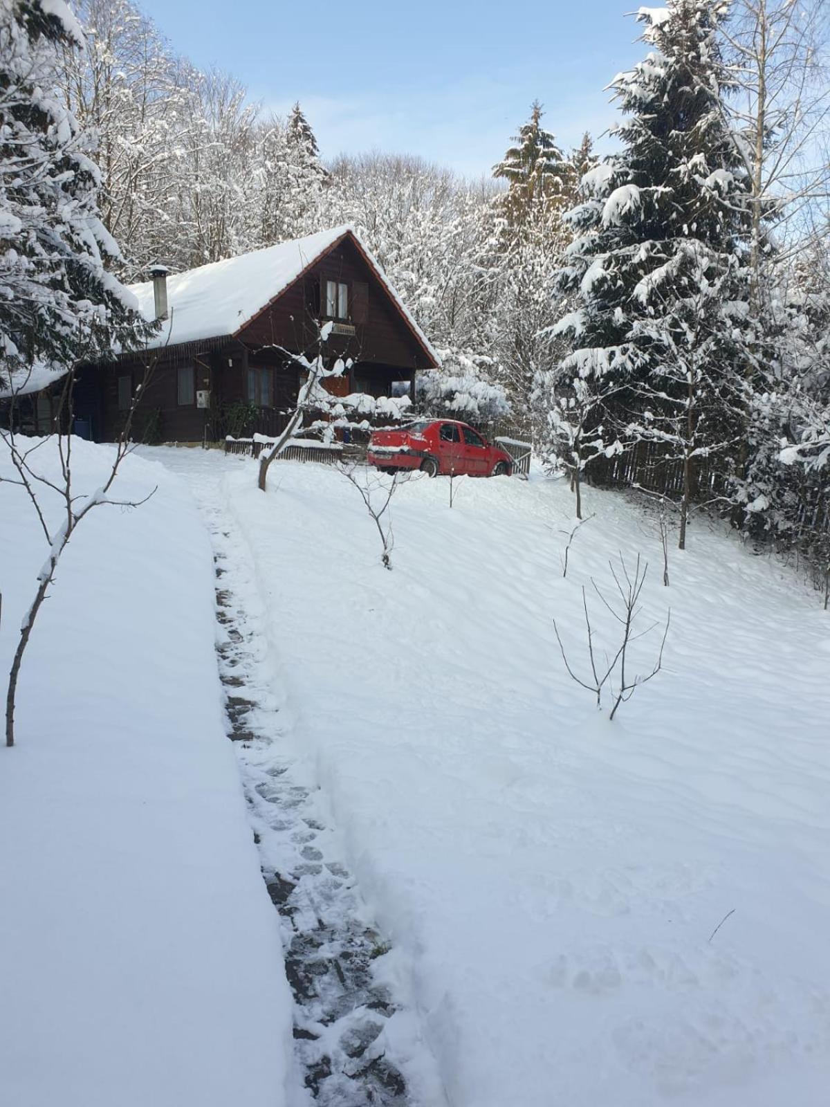Casa Lacramioara Sîmbăta de Sus Eksteriør bilde