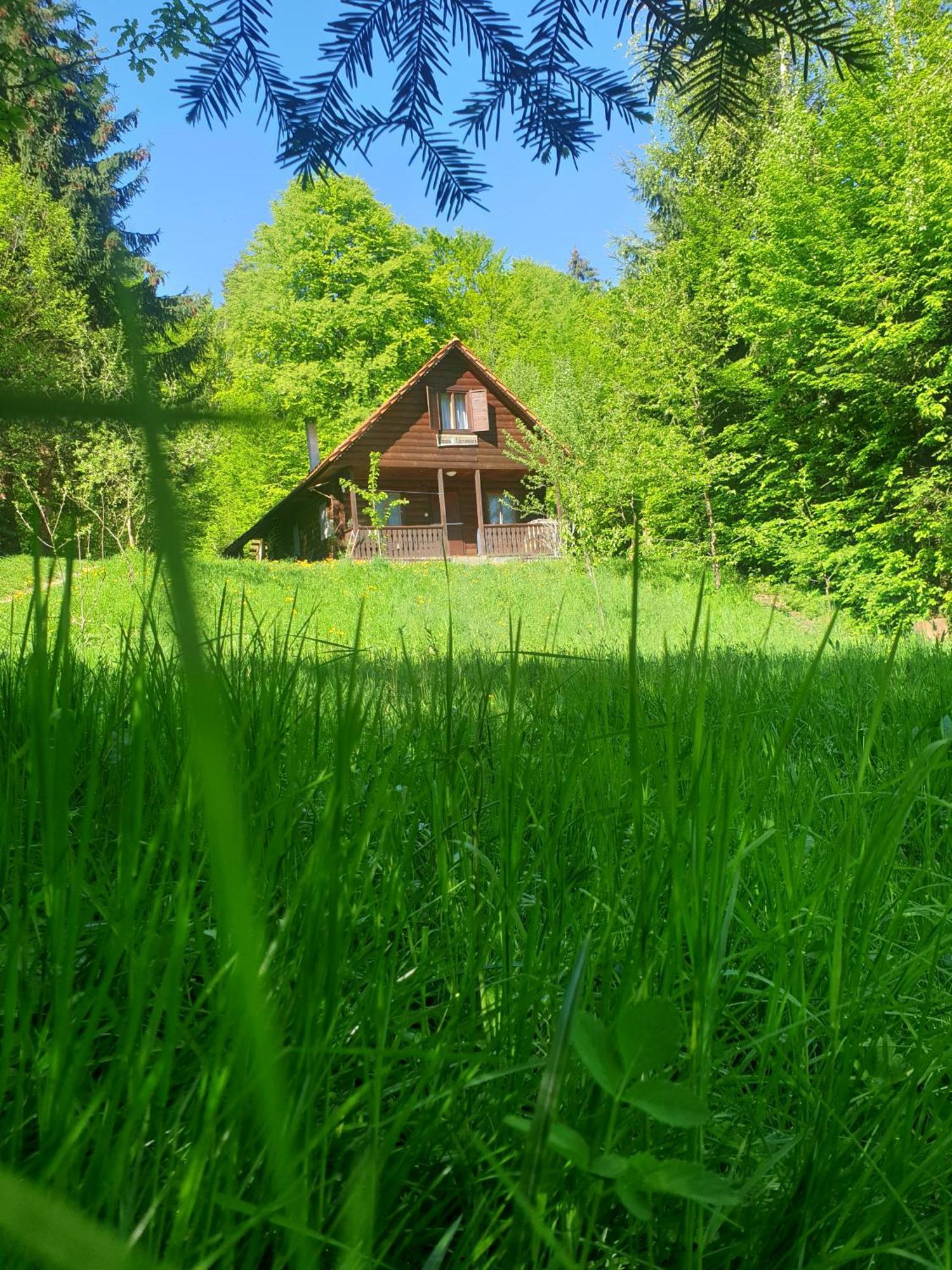 Casa Lacramioara Sîmbăta de Sus Eksteriør bilde