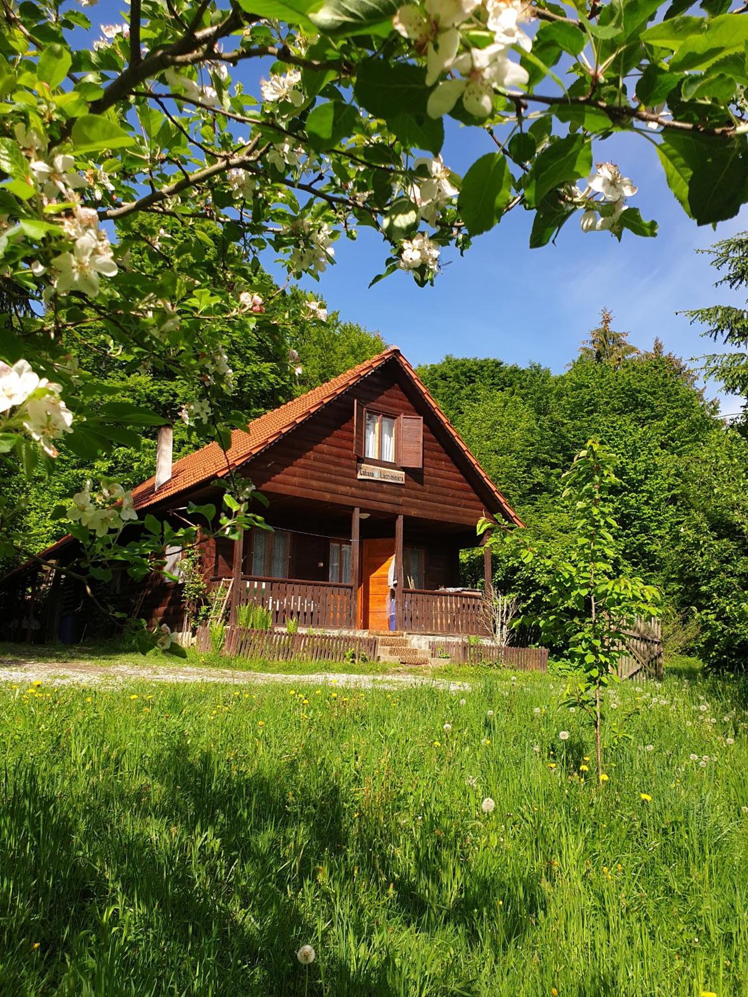 Casa Lacramioara Villa Sîmbăta de Sus Eksteriør bilde